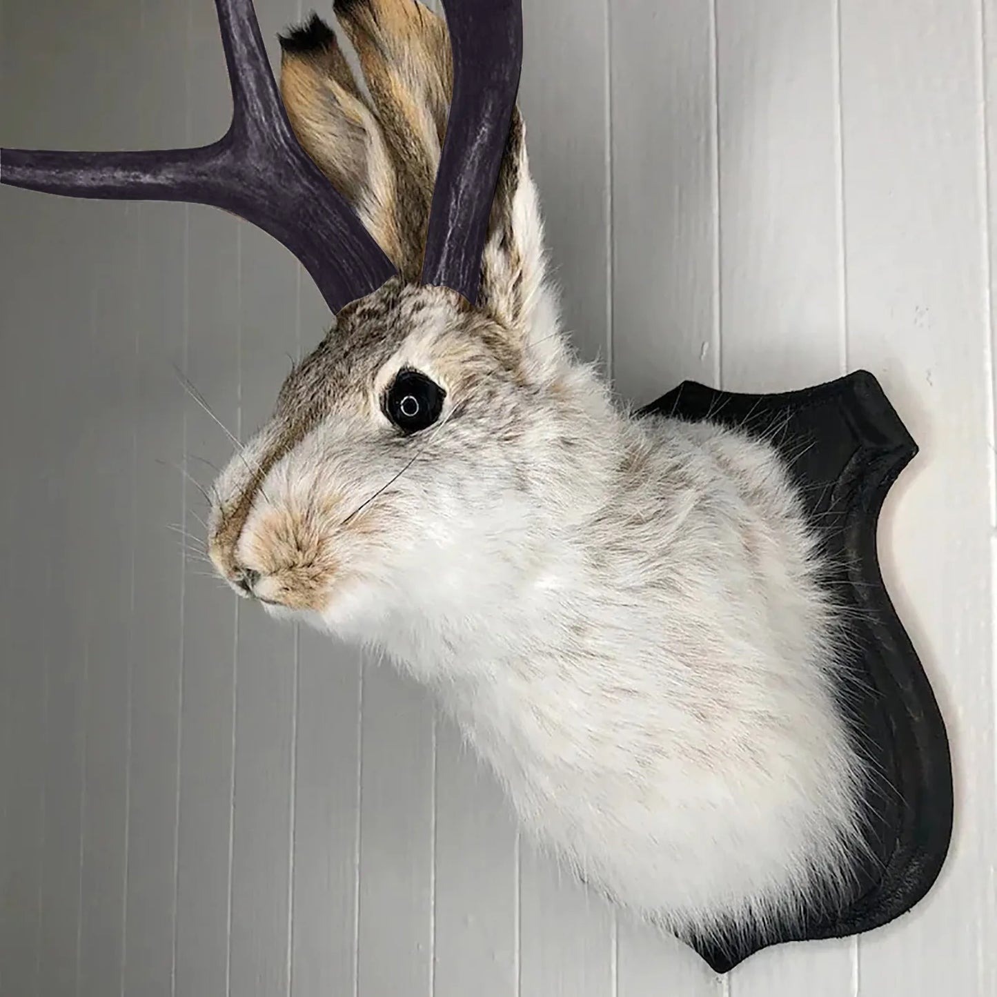 Head Wall Decor, Deer Head Wall Mount, Deer Head Wall Hang Mount,for Home Wall Art Decor Rabbit Ornaments Wall Decorations